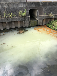 写真：ペンキ等の流出によって汚染された目久尻川