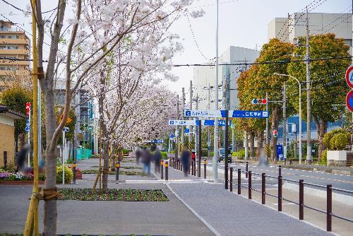 写真：再生整備後