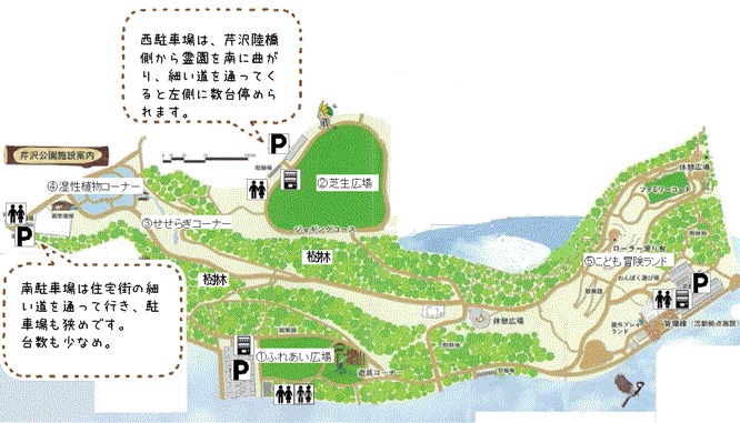 イラスト：芹沢公園（案内図）