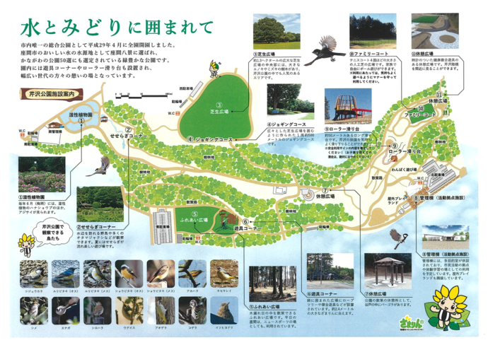 イラスト：芹沢公園（案内図）