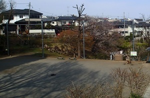 写真：立野台公園