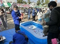 写真：ふるさとまつりでの活動の様子