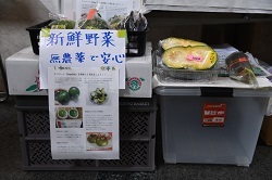 写真：販売商品（無農薬野菜）