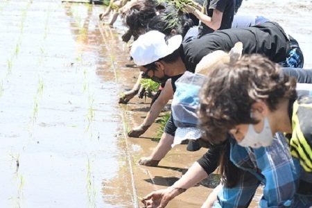 写真：田植えを体験する参加者1