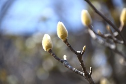 写真：同園の様子4