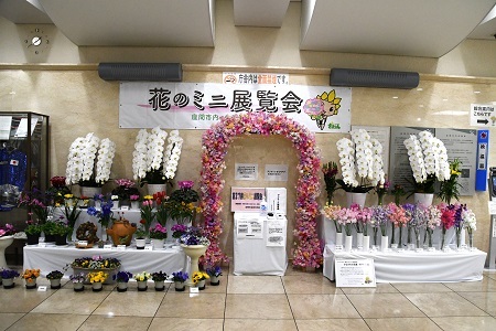 写真：花のミニ展覧会展示の様子