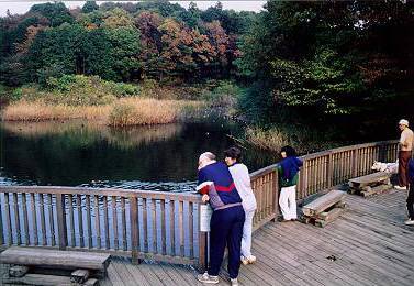 写真：県立座間谷戸山公園1