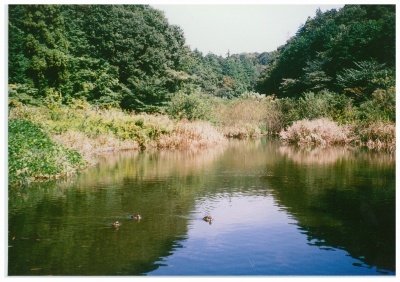 写真：県立座間谷戸山公園