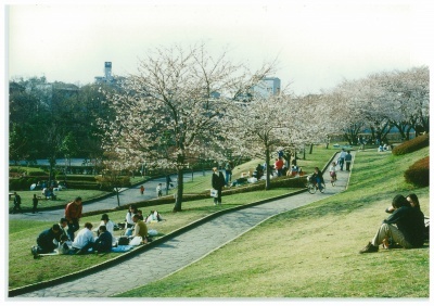 写真：かにが沢公園