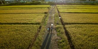 写真：入谷駅周辺の田園