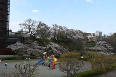 写真：かにが沢公園