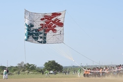 写真：大凧まつり1