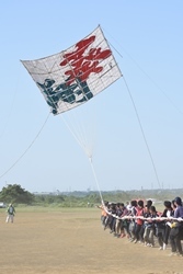 写真：大凧まつり4
