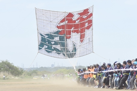 写真：大空に舞う大凧