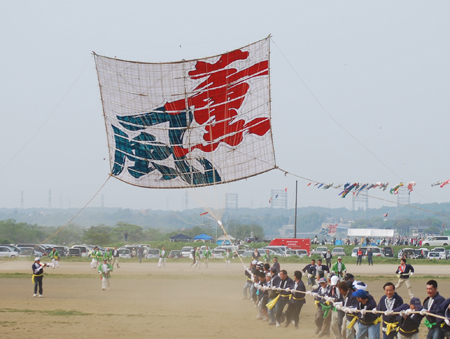 写真：100人が一斉に引くと大凧は大空へ