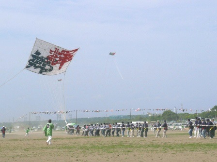 写真:風を受ける大凧