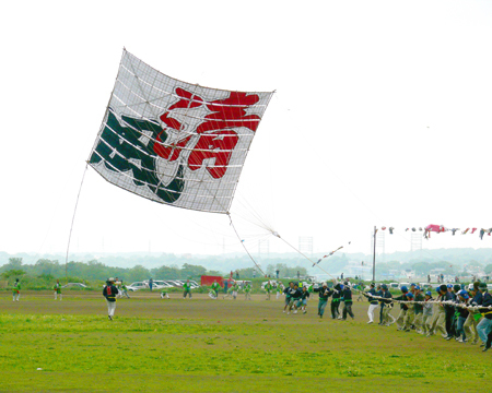 写真:大凧