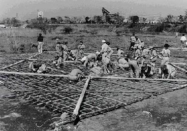 Photo：The Large Kite of Zama