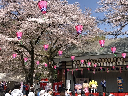 写真：満開の桜