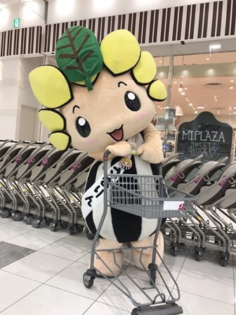写真：お買いものするざまりん