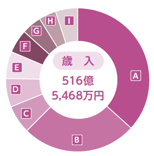 画像：歳入の円グラフ