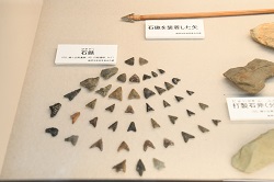 展示されていた石鏃など石器