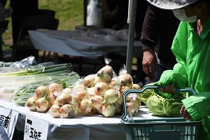 写真：販売している野菜を来場者が選んでいる