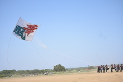 写真：大空を舞う大凧の様子