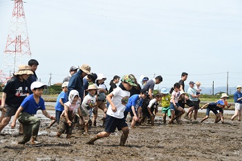 写真：泥んこ遊びを楽しむ様子1