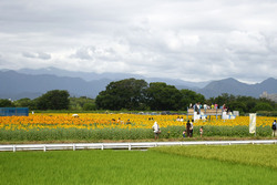 写真：ひまわりまつり（四ツ谷会場）の様子3