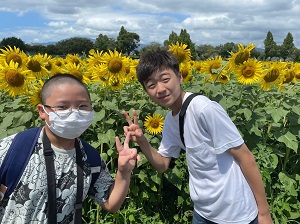 写真：ひまわりまつりグループC