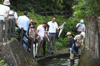 写真：視察団が説明を受けながら芹沢公園の湧き水を見学している