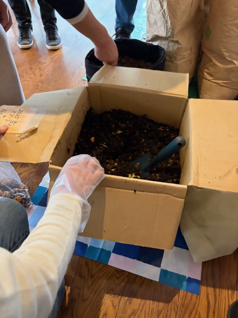 画像：ダンボールコンポスト