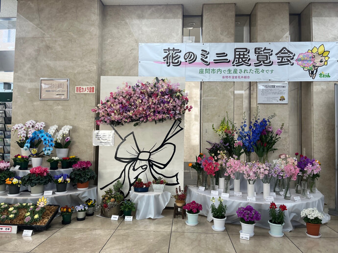 写真：花のミニ展覧会