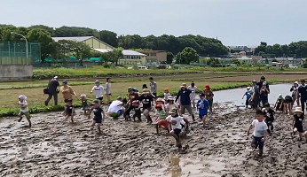 令和5年度日本文化体験田植え