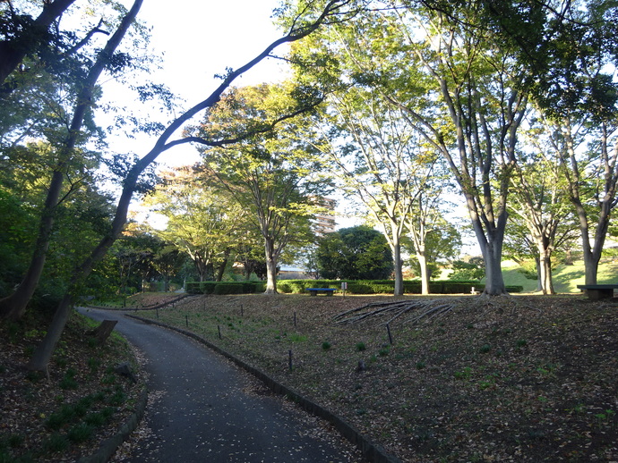 写真：かにが沢公園1