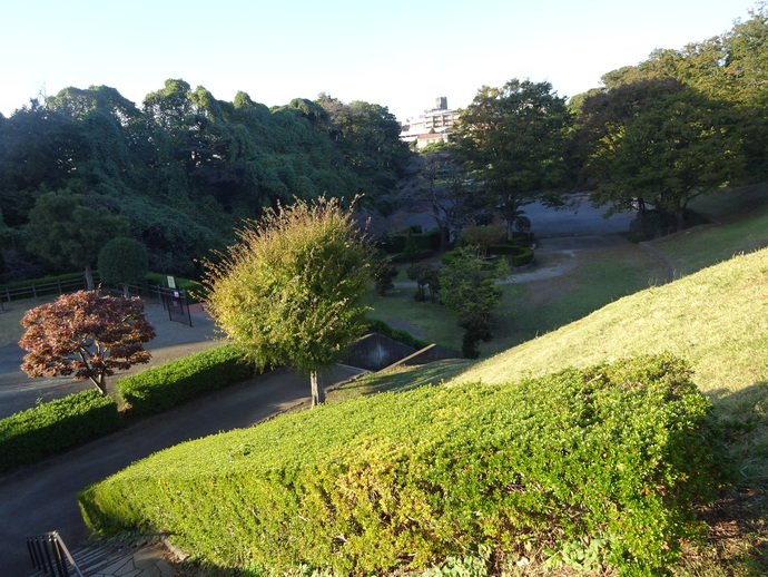写真：かにが沢公園2