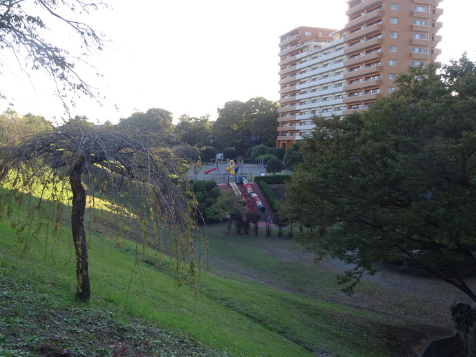 写真：かにが沢公園3