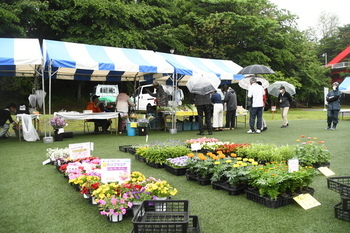 写真：ポット苗を販売している会場の様子
