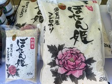 写真：ぼたん姫（コシヒカリ）（須賀川市）