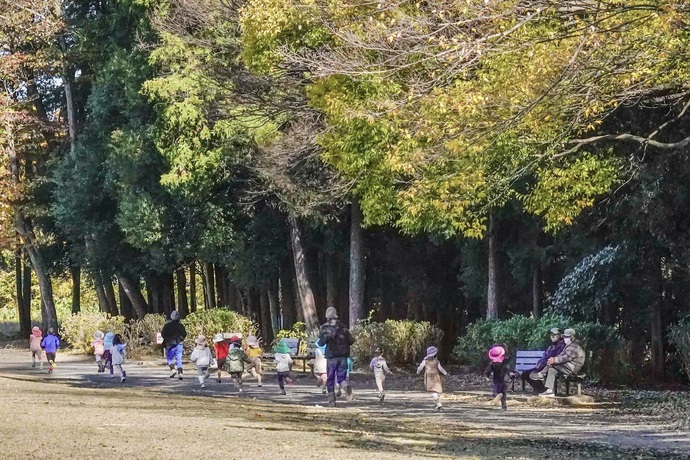 公園を散歩する子どもたちの写真