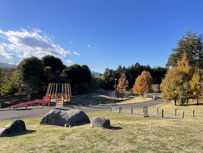 芹沢公園の滑り台の写真