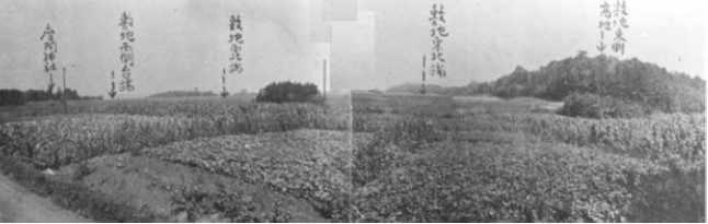 写真：天神原の全景