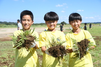  写真：力を合わせてごみを拾う参加者の様子2