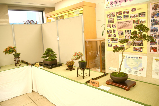 写真：さつき盆栽展の様子1