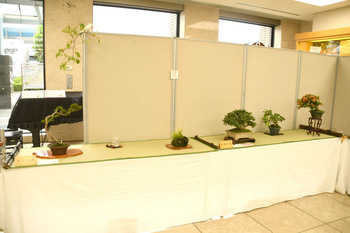 写真：さつき盆栽展の様子3