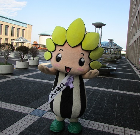 写真：ざまりん