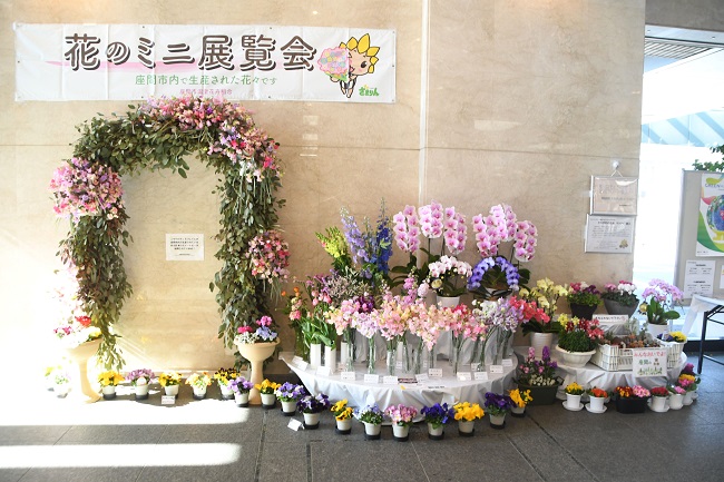 写真：花のミニ展覧会の様子