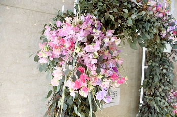 写真：展示されたスイートピー