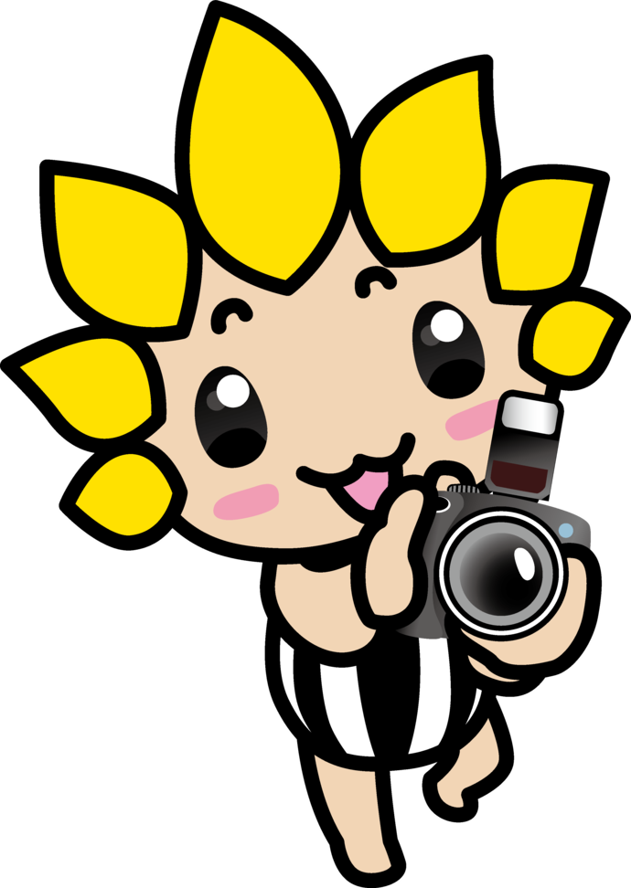 カメラをもつざまりん